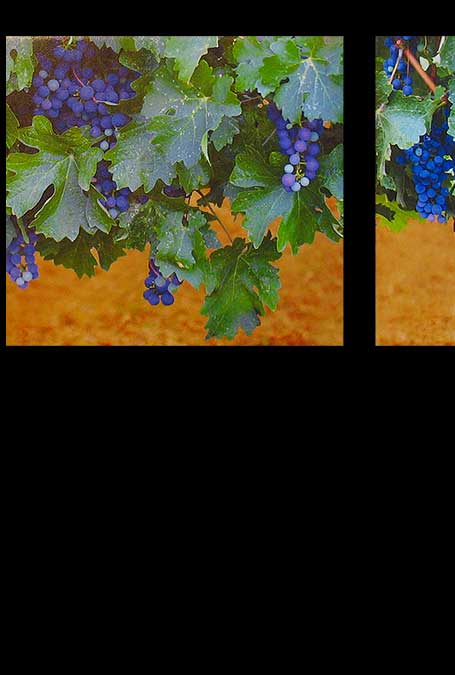 Where Heaven Meets Earth