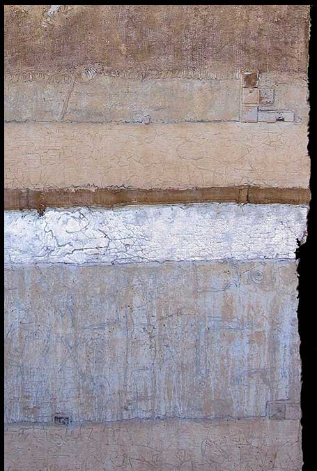 Silver Lining Playbook 1